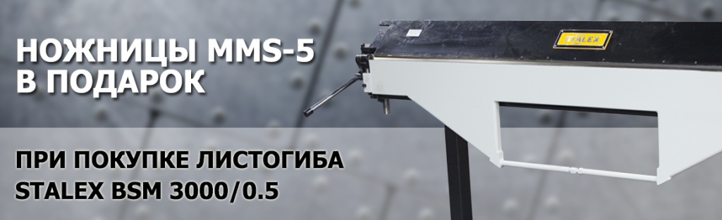 BSM в подарок.jpg